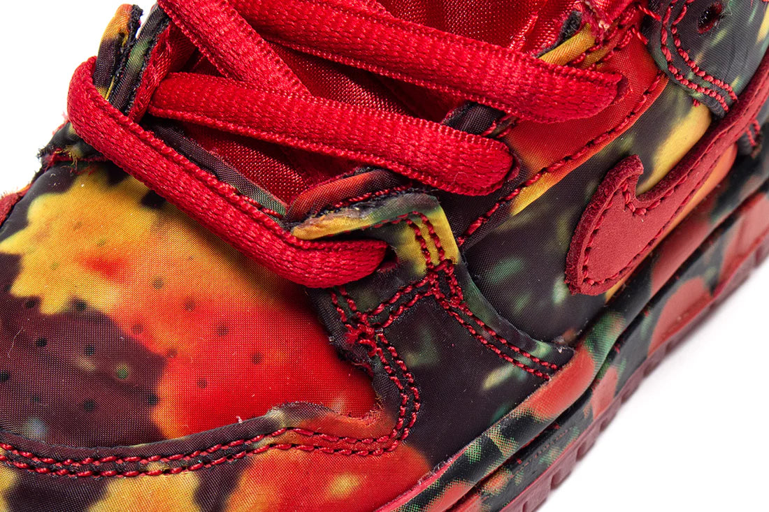 Nike SB Dunk Low The Wizard of Oz Poppy Field (TD)