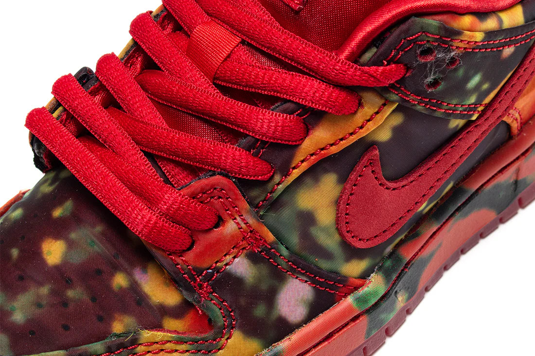 Nike SB Dunk Low The Wizard of Oz Poppy Field (PS)