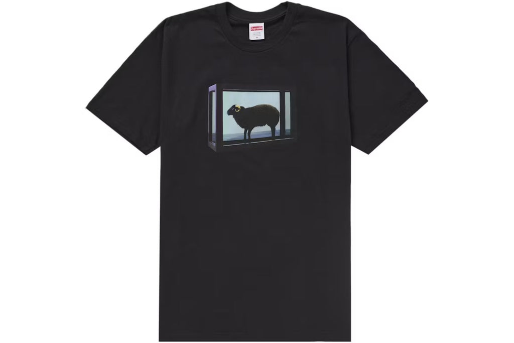 Supreme T-Shirt Damien Hirst Black