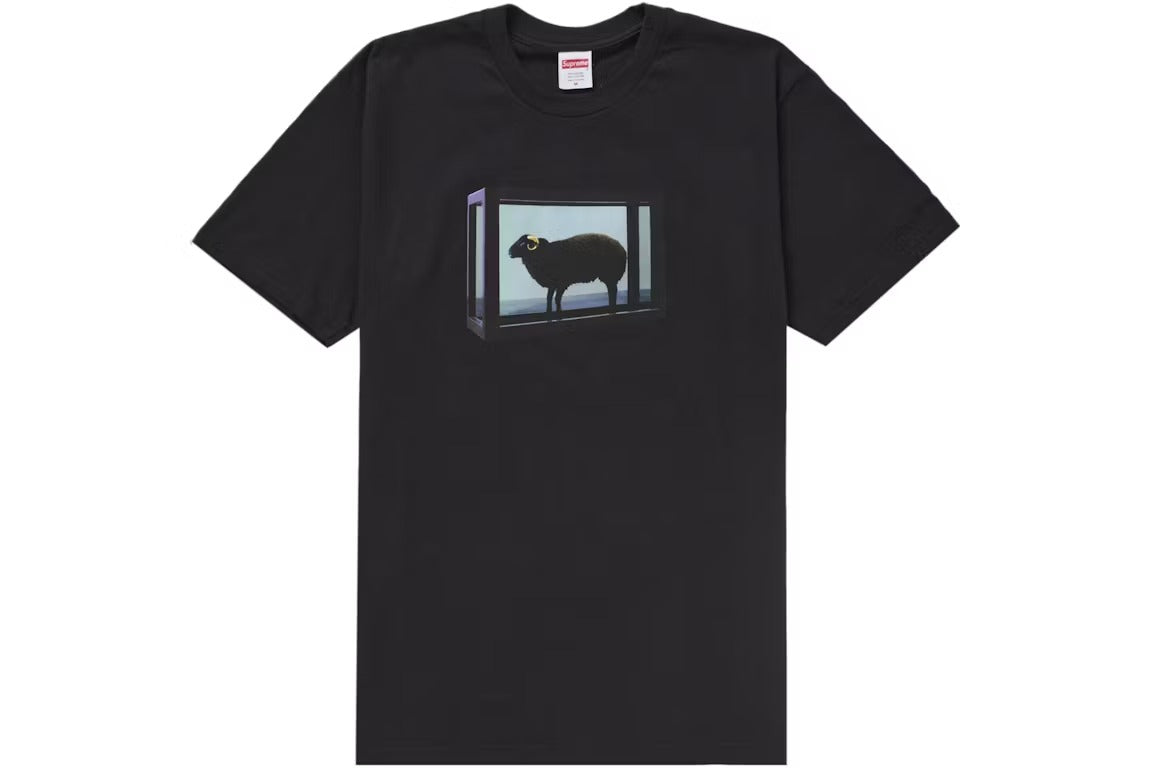 Supreme T-Shirt Damien Hirst Black